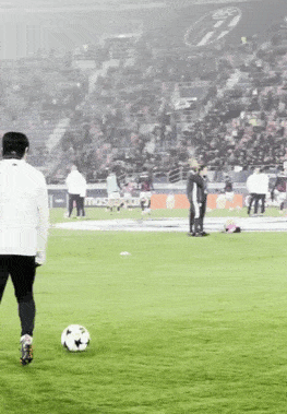 ezgif-7-233d03ad7e[1]