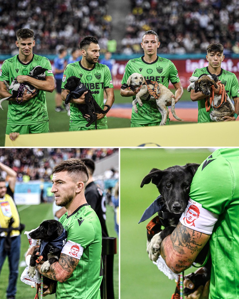 小ネタ ディナモ ブカレスト ルーマニア の選手が全員野良犬を抱いて入場してきて草 2chフットボールまとめアンテナ
