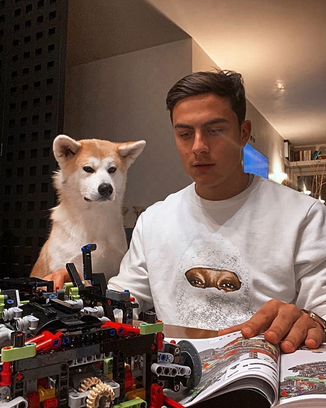 ◆悲報◆ユーベのイケメンFWディバラさん、秋田犬にトレーニングの邪魔をされてしまう(´・ω・`)