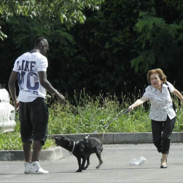 ◆悲報◆マリオ・バロテッリくん養父母の飼い犬に吠えられるｗｗｗ