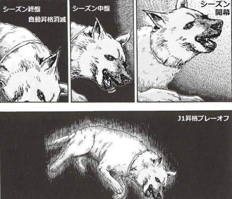 j小ネタ お犬様 ジェフ千葉の一年 2chフットボールまとめアンテナ j小ネタ お犬様 ジェフ千葉の一年 2chフットボールまとめアンテナ