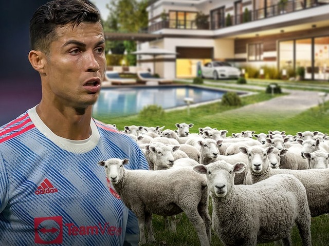 悲報 羊の鳴き声がうるさくて引っ越ししたクリロナさん エブラにからかわれるwww サッカーまとめアンテナ サッカーラボアンテナ 悲報 羊の鳴き声がうるさくて引っ越ししたクリロナさん エブラにからかわれるwww サッカーまとめアンテナ サッカーラボアンテナ