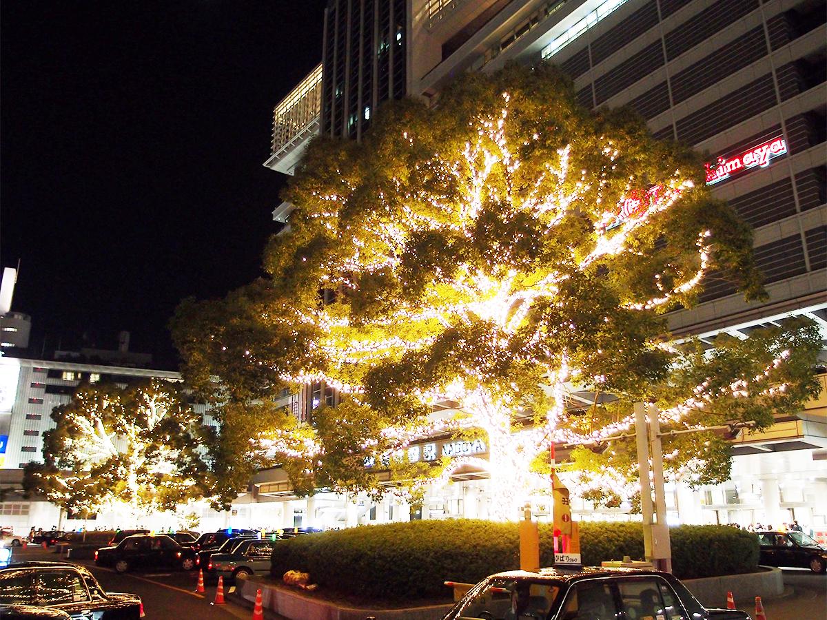 名古屋のクリスマスイルミネーションがまるで爆発したように見えると話題に くるちゃんねる 名古屋のクリスマスイルミネーションがまるで爆発したように見えると話題に くるちゃんねる
