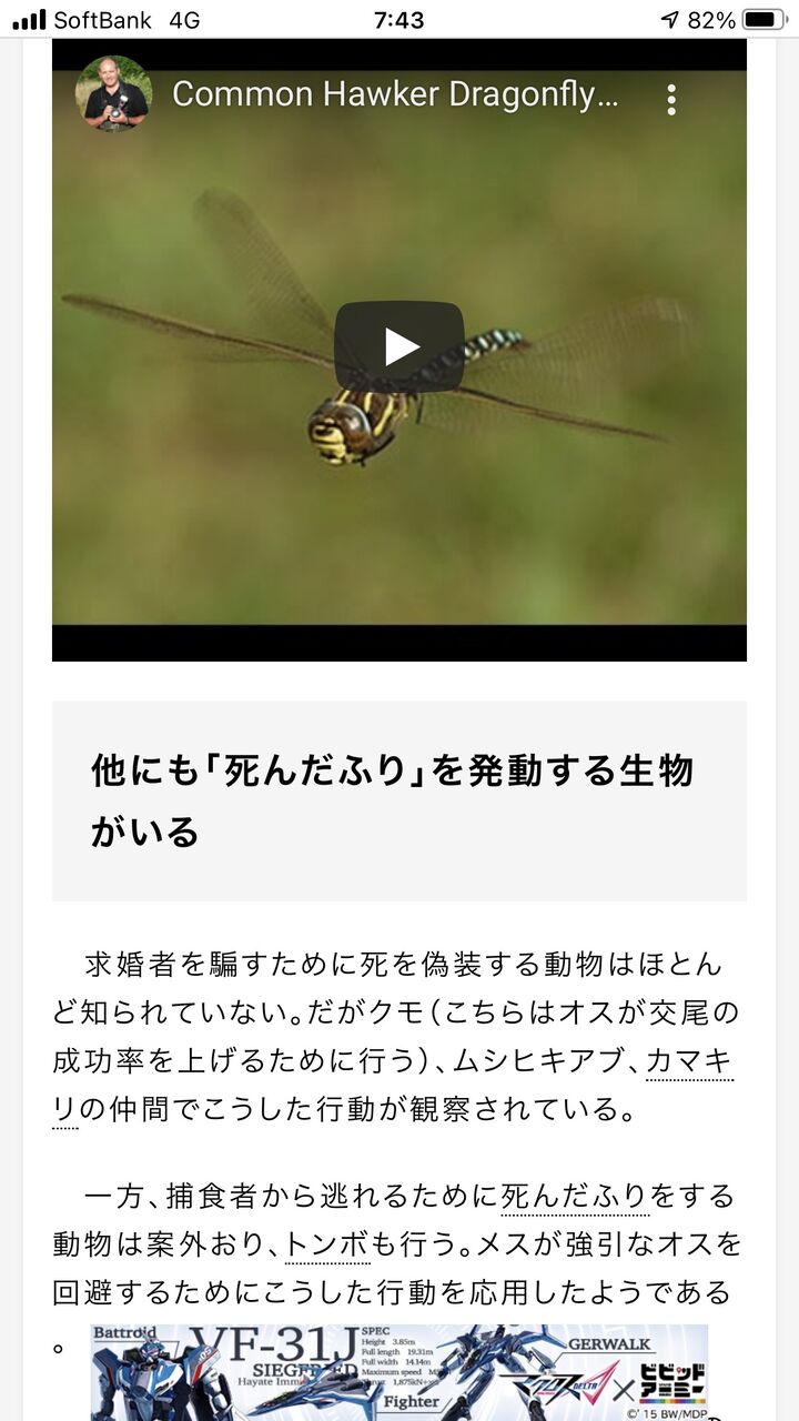 トンボのメス 交尾したくないオスに対し 死んだふり をする くるちゃんねる トンボのメス 交尾したくないオスに対し 死んだふり をする くるちゃんねる