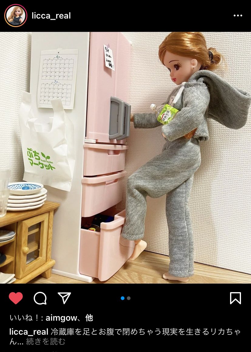 画像 現実を生きるリカちゃん シリーズが笑えるwww くるちゃんねる 画像 現実を生きるリカちゃん シリーズが笑えるwww くるちゃんねる