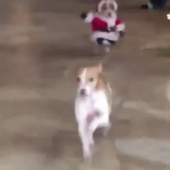 動画アリ おまえらが見た一番怖い画像 動画貼ってくれ くるちゃんねる 動画アリ おまえらが見た一番怖い画像 動画貼ってくれ くるちゃんねる
