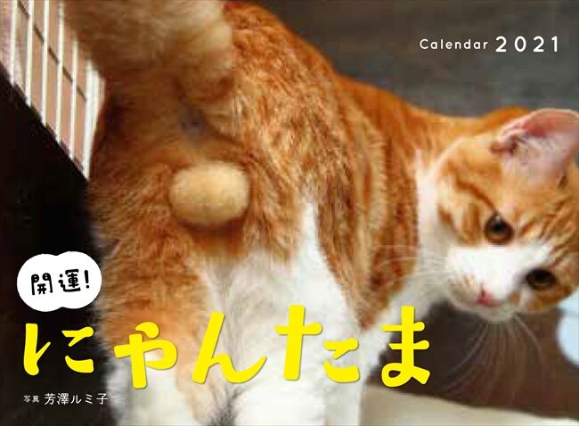 猫のキンタマ画像を集めたカレンダー発売 たまたまかわいい と女性たちに人気 くるちゃんねる 猫のキンタマ画像を集めたカレンダー発売 たまたまかわいい と女性たちに人気 くるちゃんねる