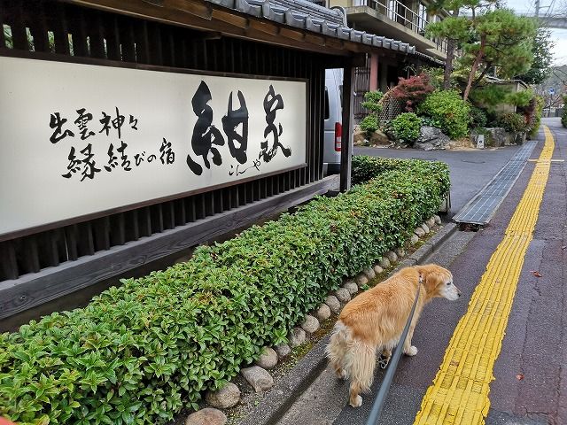 イメージ 13