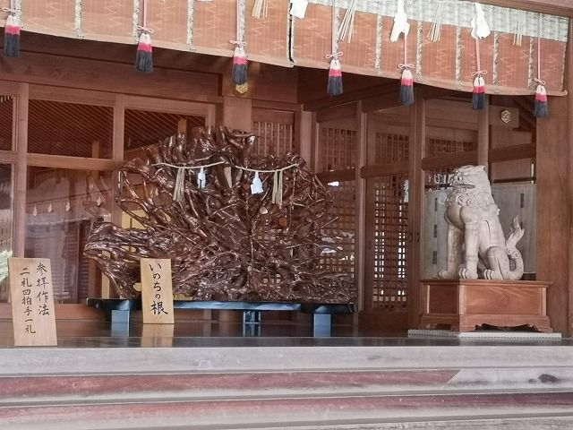 イメージ 9