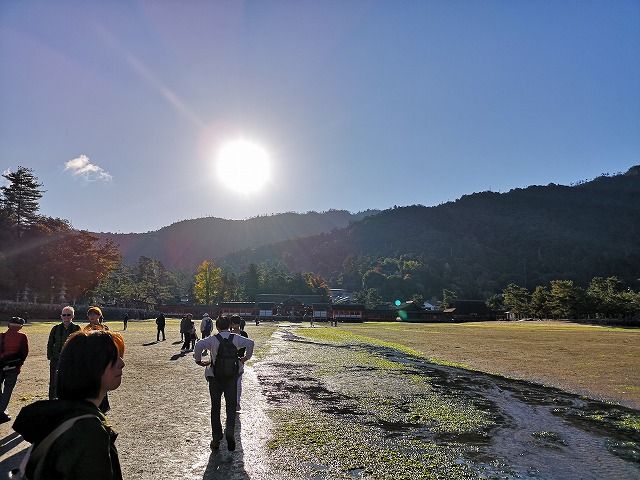 イメージ 9