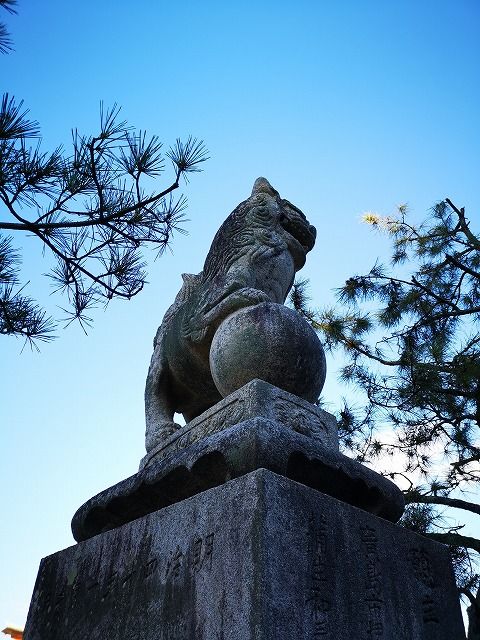 イメージ 12