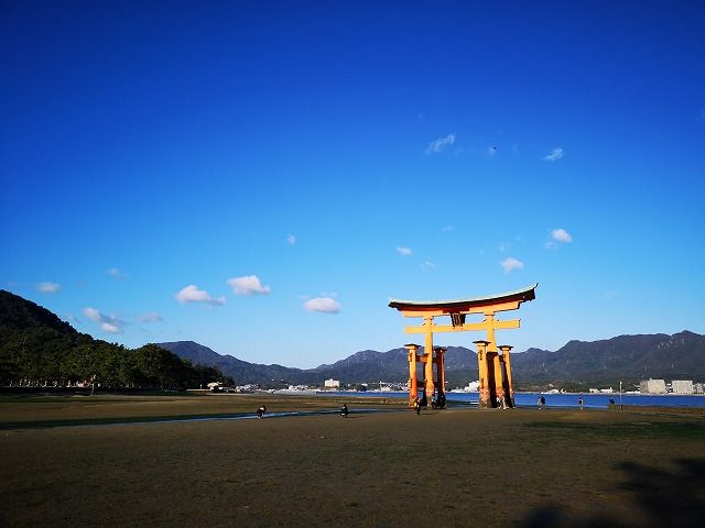 イメージ 5