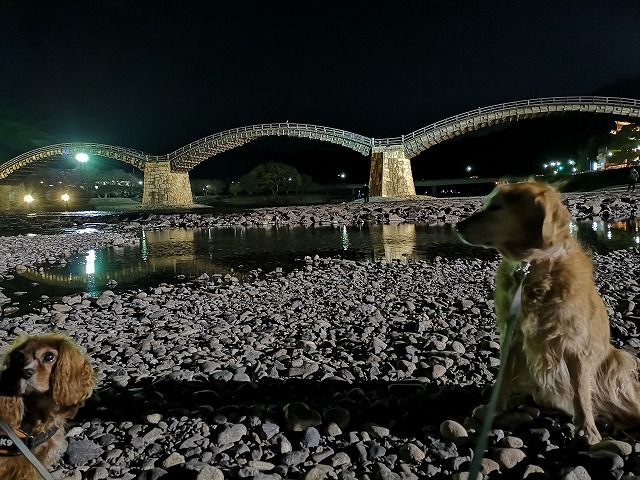 イメージ 5