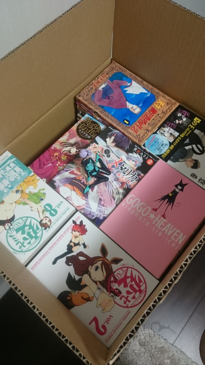 駿河屋 青年向けコミック 300冊セット そのいち 福袋 くるむの徒然日記