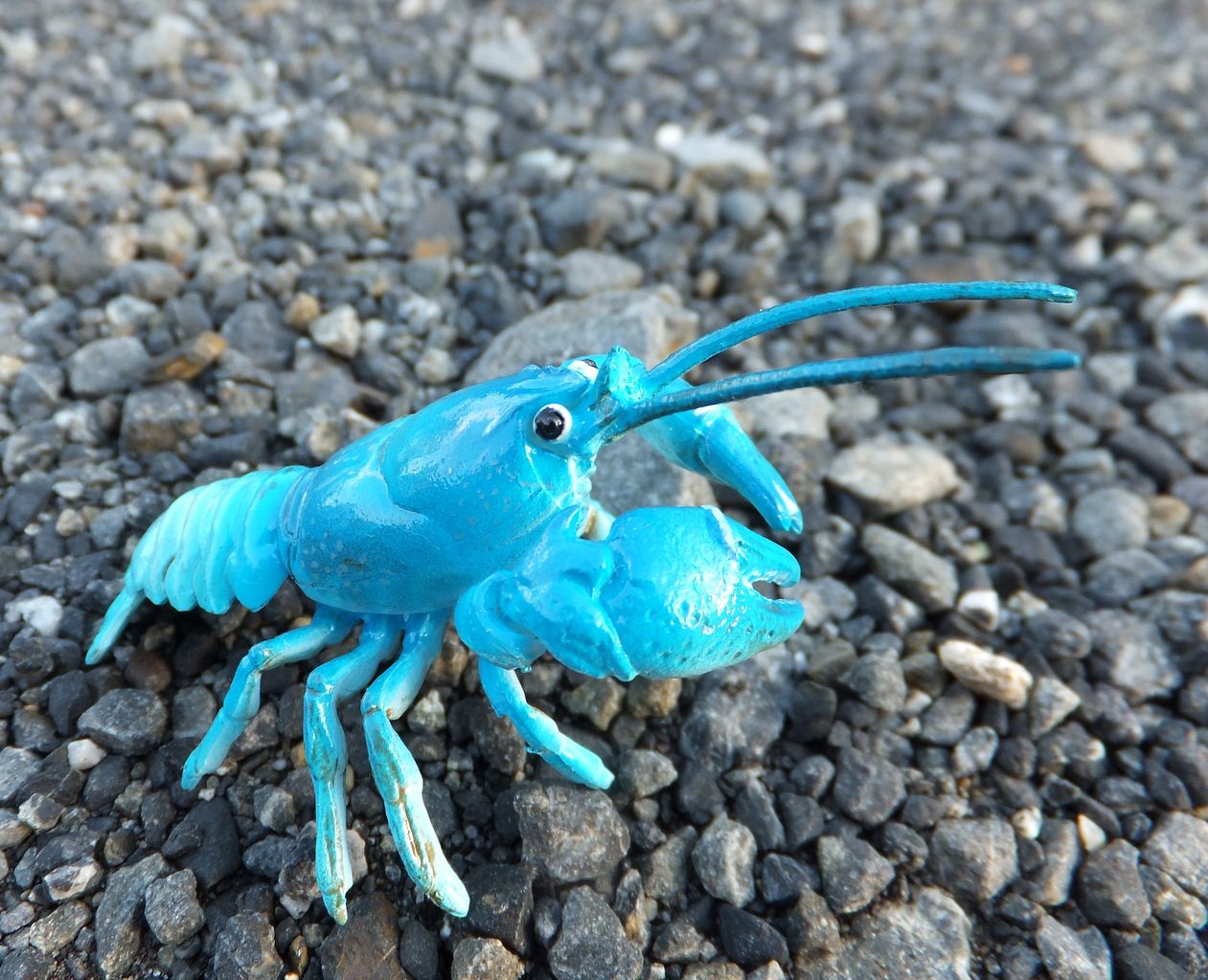 海洋堂 カプセルqミュージアム 日本の動物 ニホンザリガニ 色彩変異 青 クーネル 海洋堂 カプセルqミュージアム 日本の動物 ニホンザリガニ 色彩変異 青 クーネル