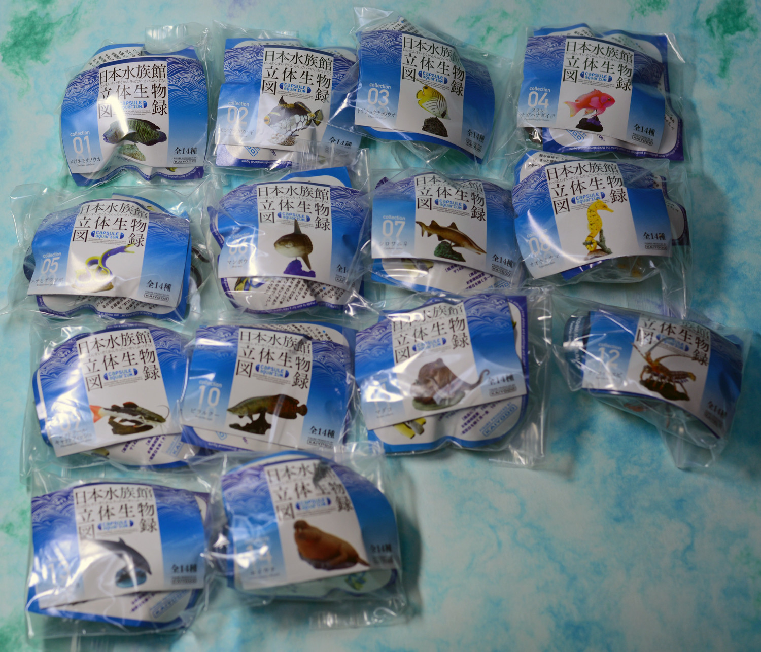 秋の収穫祭日本水族館立体生物図録 第4巻〈全14種〉フルコンプリート