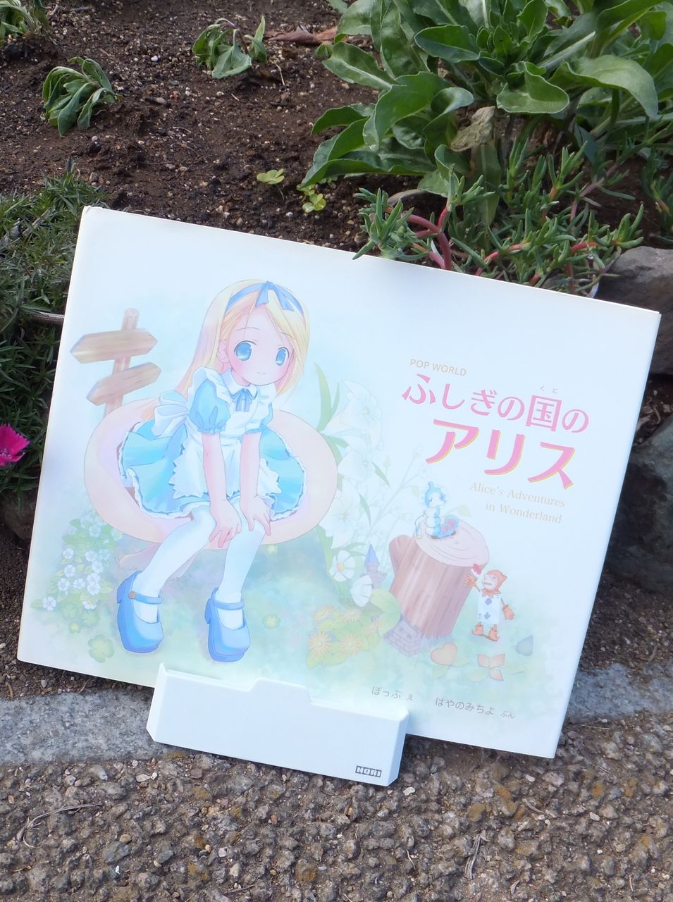 ポプラ社 POP WONDERLAND ふしぎの国のアリス 赤ずきん おやゆびひめ