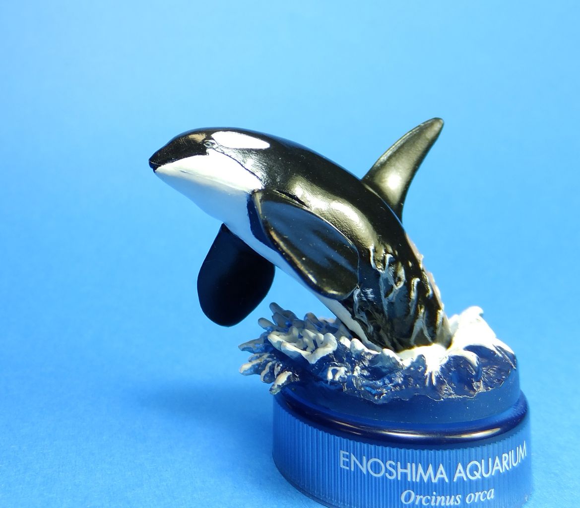 海洋堂 新江ノ島水族館への誘い シャチ : クーネル