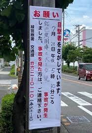 91歳男性「いやー飼い犬を車で轢き殺しちゃったけど散歩してた女児じゃなくてよかったわｗｗ」