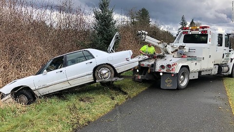 washington-man-arrested-pitbull-drive