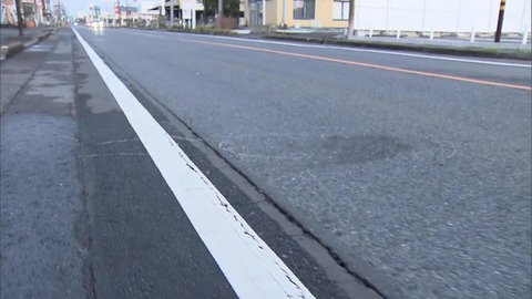 【悲報】おじいさん、小学生を車で轢いてしまった結果・・・・