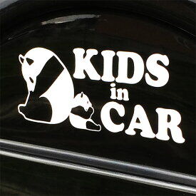 car_panda