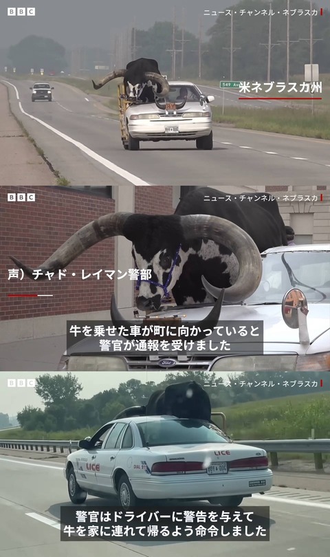 【画像】アメリカ人、車の助手席にとんでもないものを乗せるｗｗｗｗｗｗｗｗｗｗｗｗｗｗｗｗｗｗｗ