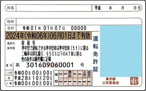 driver_license_image_5-1000x622
