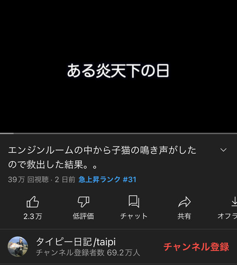 【朗報】タイピー日記さん、炎天下の車のエンジンルームから子猫を保護するwwwwwwww