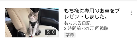 【朗報】もちまる日記さん、もち様専用の車をプレゼント