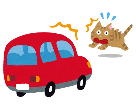 【疑問】車の運転してる奴って普通は猫の2～3匹轢いてるよな…？