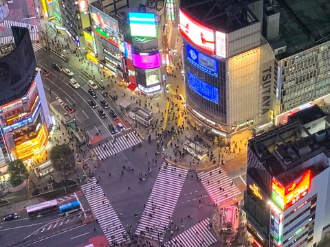shibuya2