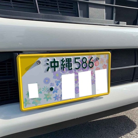 ワイ『新車を図柄ナンバーにしたんだ～ｗ』知人『これって・・・』