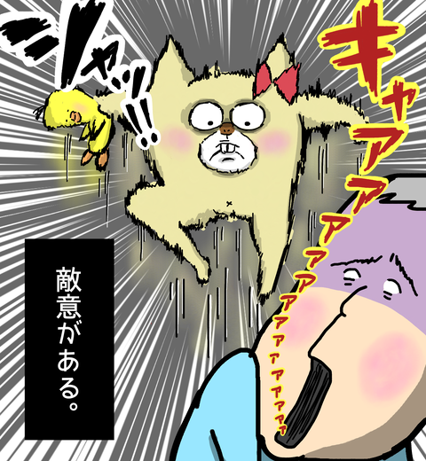 父に敵意を表し飛びかかる愛犬