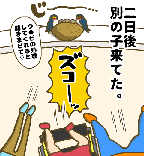 二日後別のツバメ来てた