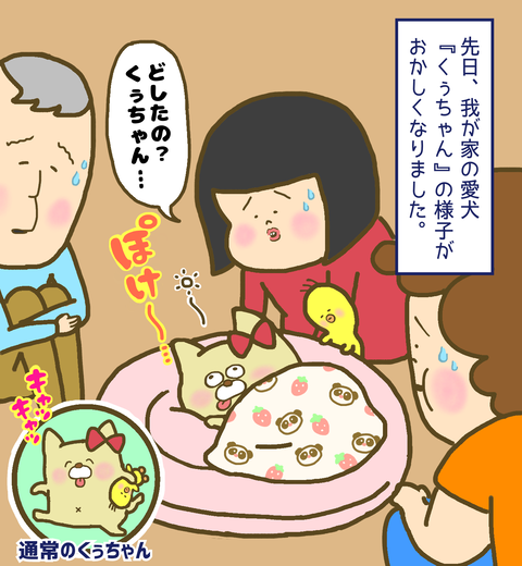 愛犬の調子が悪い