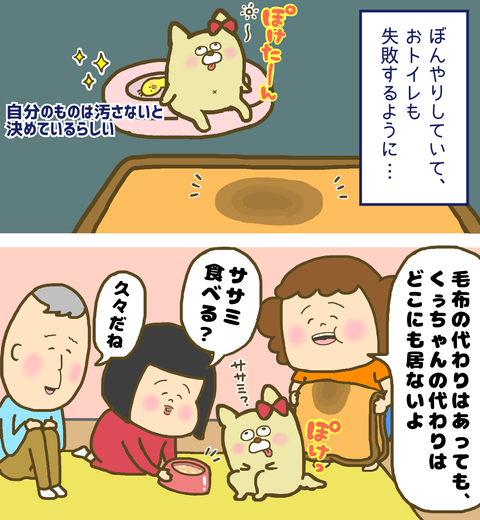 毛布の代わりはあっても、愛犬の代わりは居ない