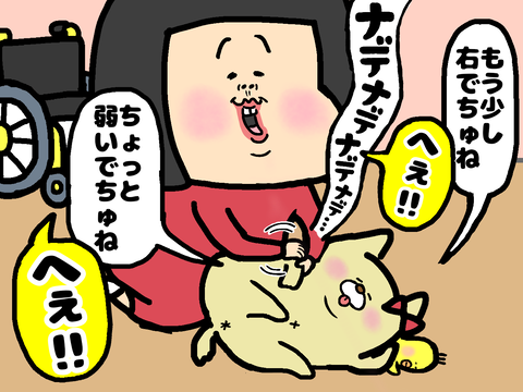 愛犬をマッサージ