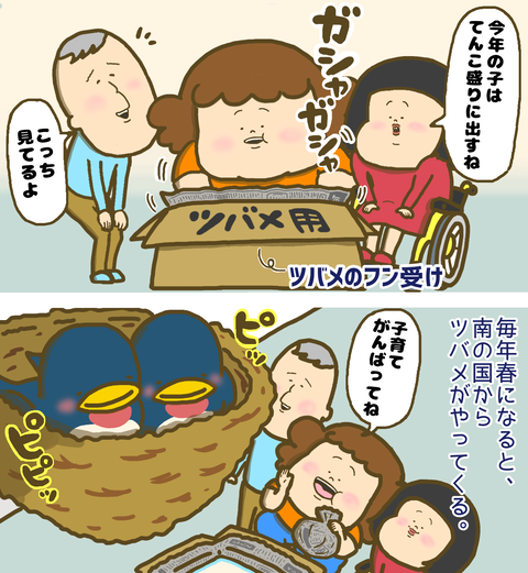 春に訪れるツバメとフン受けの箱