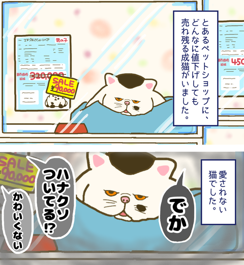 ドラマ『おじさまと猫』ペットショップで売れ残る『ふくまる』