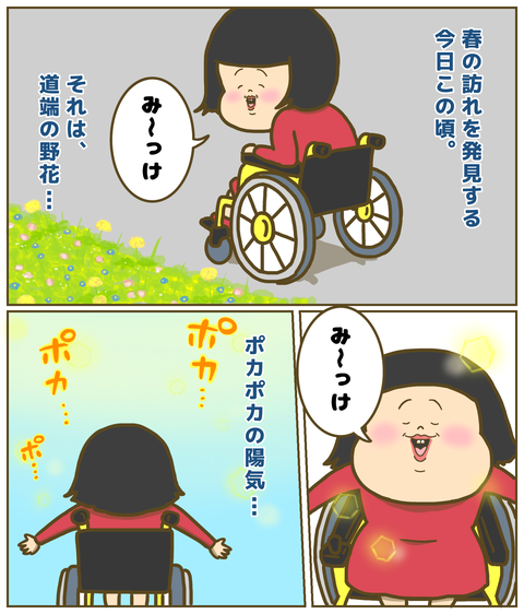 春の訪れを野花やポカポカ陽気から発見する