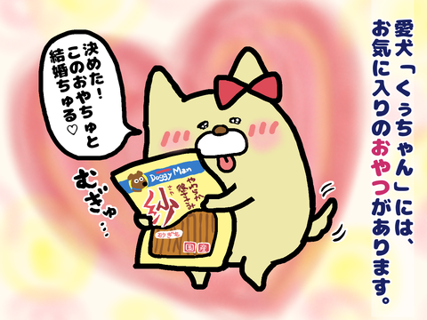 ドギーマンの紗やわらか鶏ささみが好き