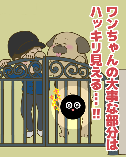 ワンちゃんの大事な部分がこっち見てる