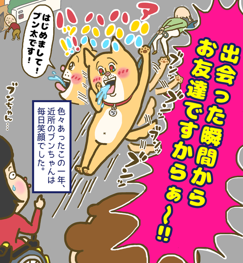 今年一年毎日笑顔だった近所の犬ブンちゃん