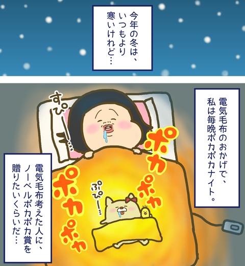 電気毛布のおかげで寒くない