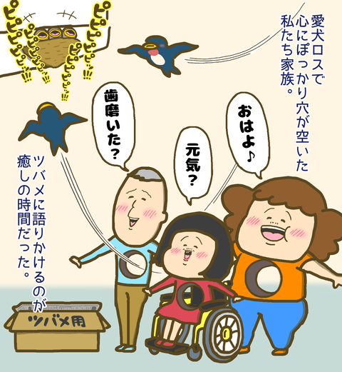 ツバメに癒やされる私達家族