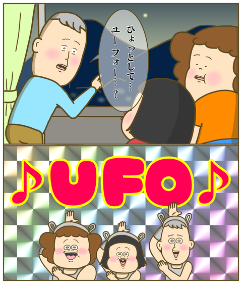 UFOかもしれない