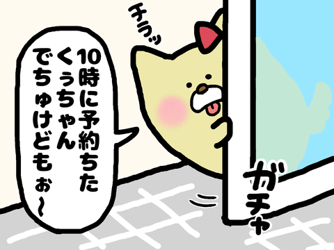 自宅で犬のトリミング