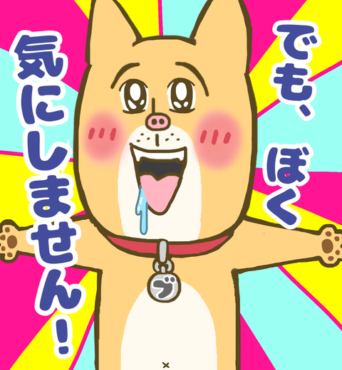 気にしない近所の犬ブンちゃん