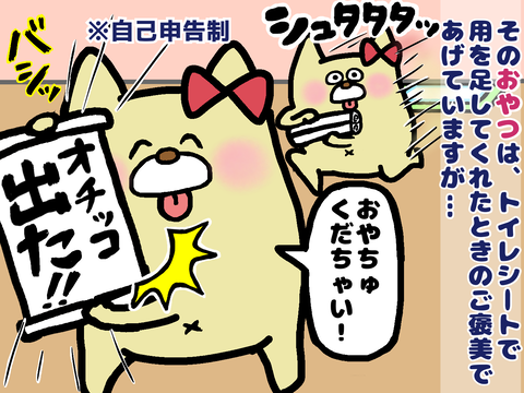 愛犬のトイレのご褒美
